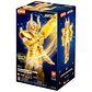Capricorn Shura 