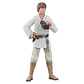 Luke Skywalker 