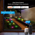 Luces inteligentes Wifi RGB para jardín IP67 – Control por voz y app eWeLink