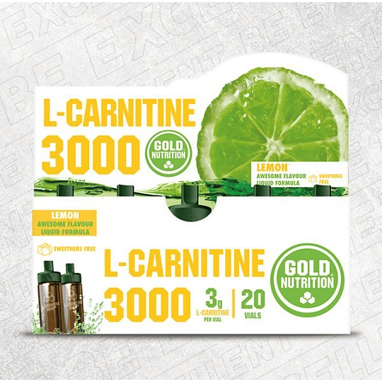 L-CARNITINE 3000