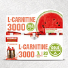 L-CARNITINE 3000