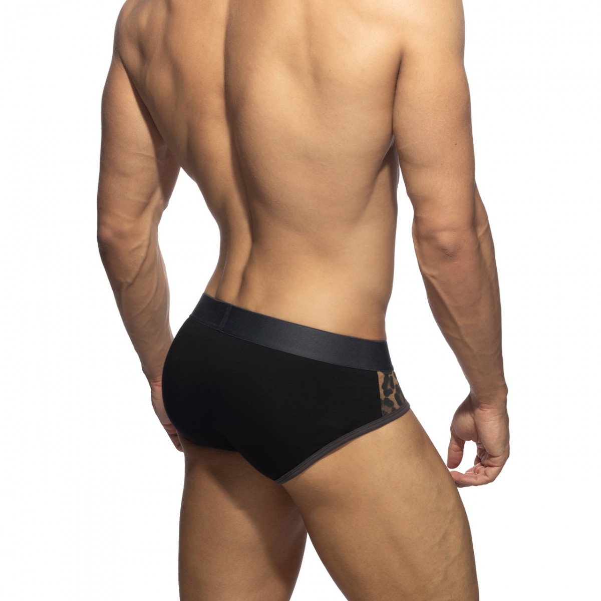 LEOPARD PANELS BRIEF 2