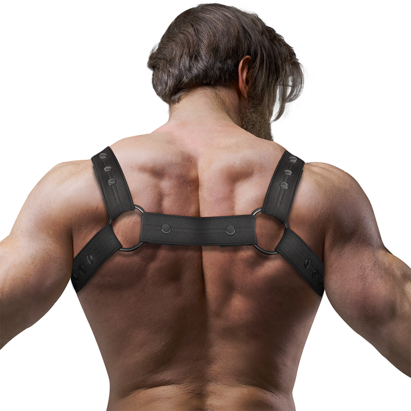 HARNESS NEOPRENO CHEST - BLACK 2