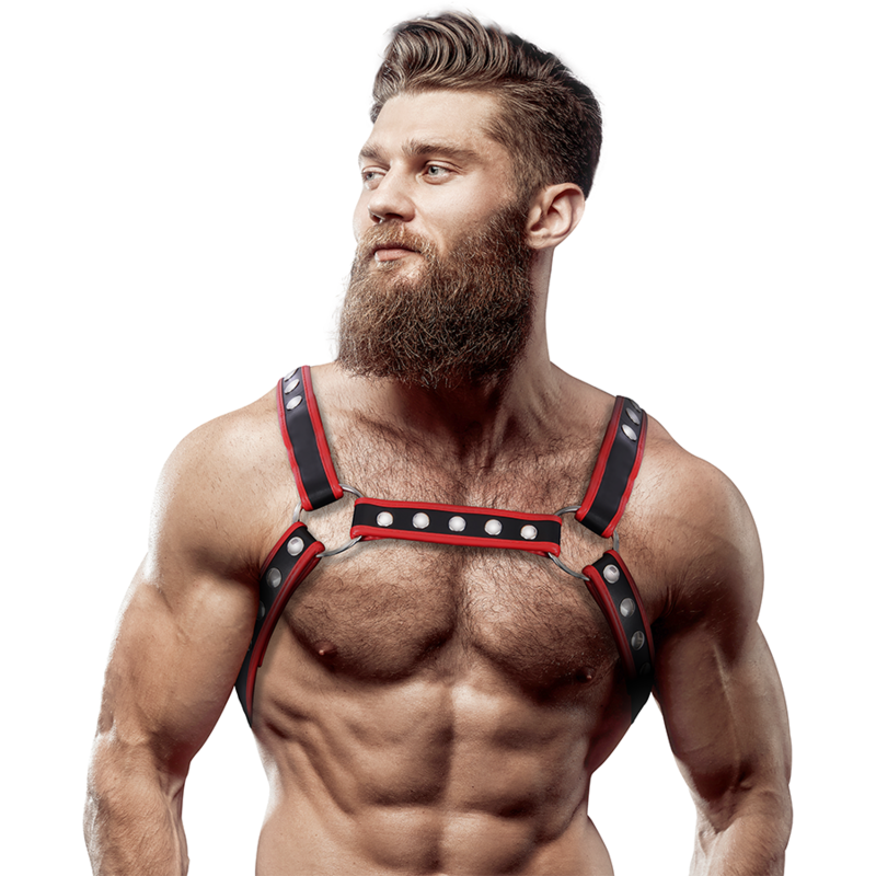 HARNESS CHEST X-BACK - BLACK/RED 1