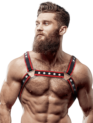HARNESS CHEST X-BACK - BLACK/RED