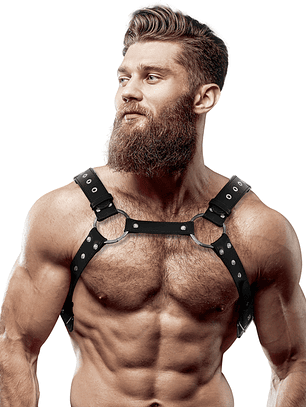 HARNESS CHEST Y - BLACK