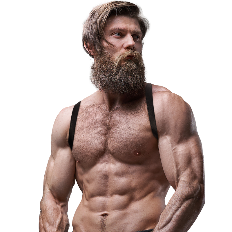 HARNESS X-BACK - BLACK 1