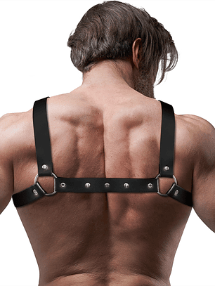 HARNESS X-FRONT - BLACK