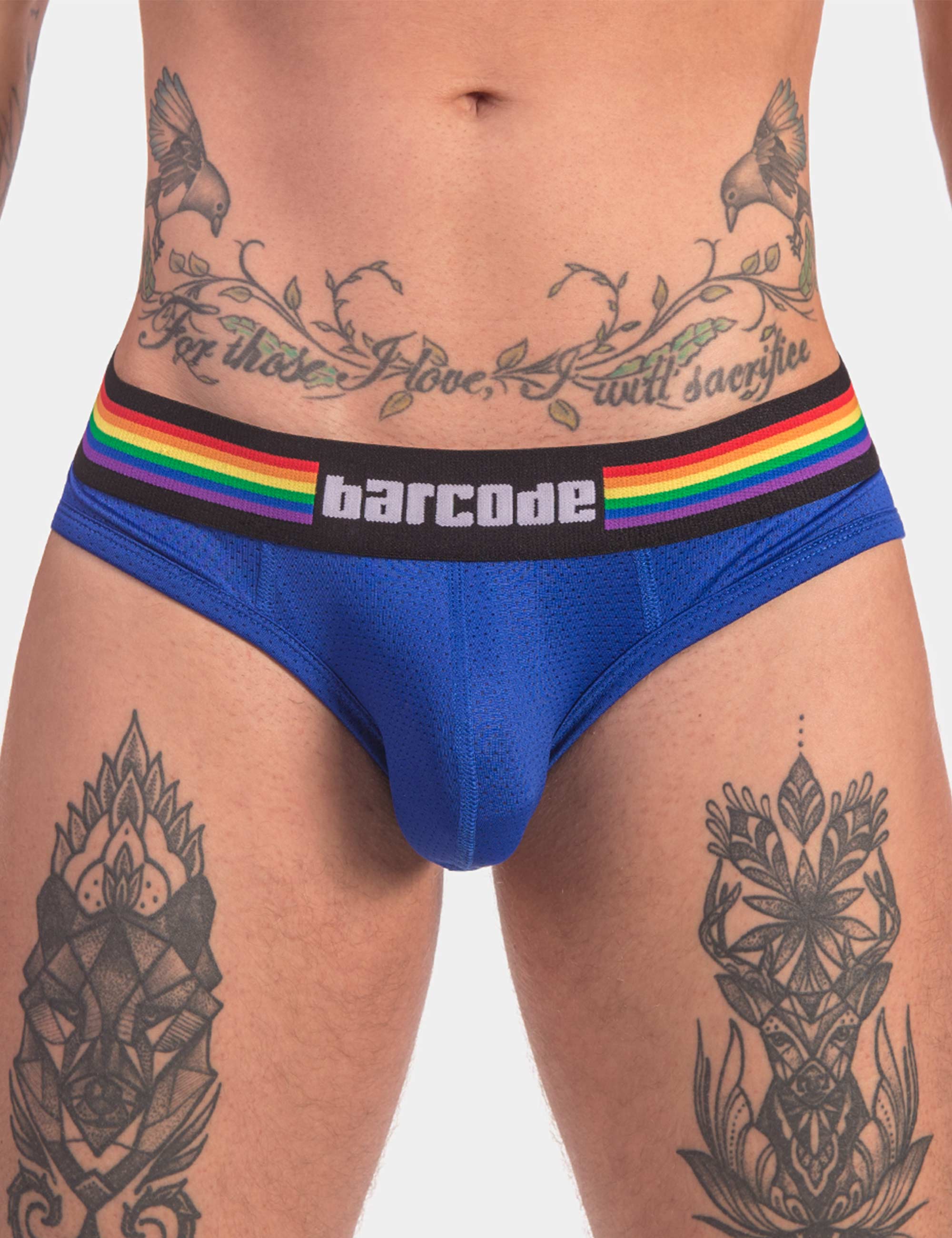 PRIDE BRIEF 8