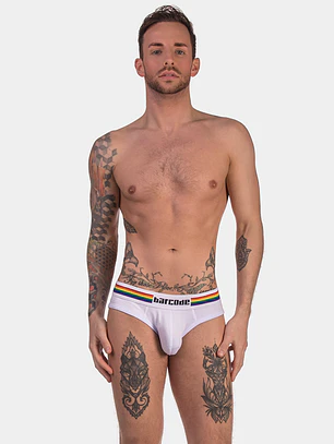 PRIDE BRIEF