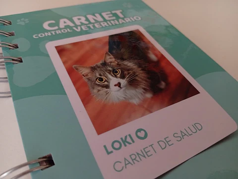 Carnet veterinario A6
