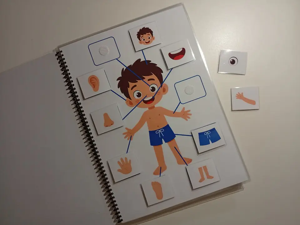Libro de Estimulación Infantil para Niños de 2 a 3 Años 1