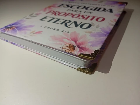 Nuevo Testamento NVI Personalizado