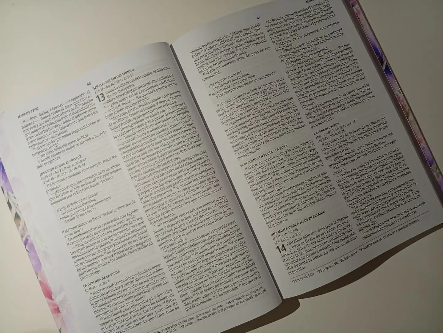 Nuevo Testamento NVI Personalizado 4