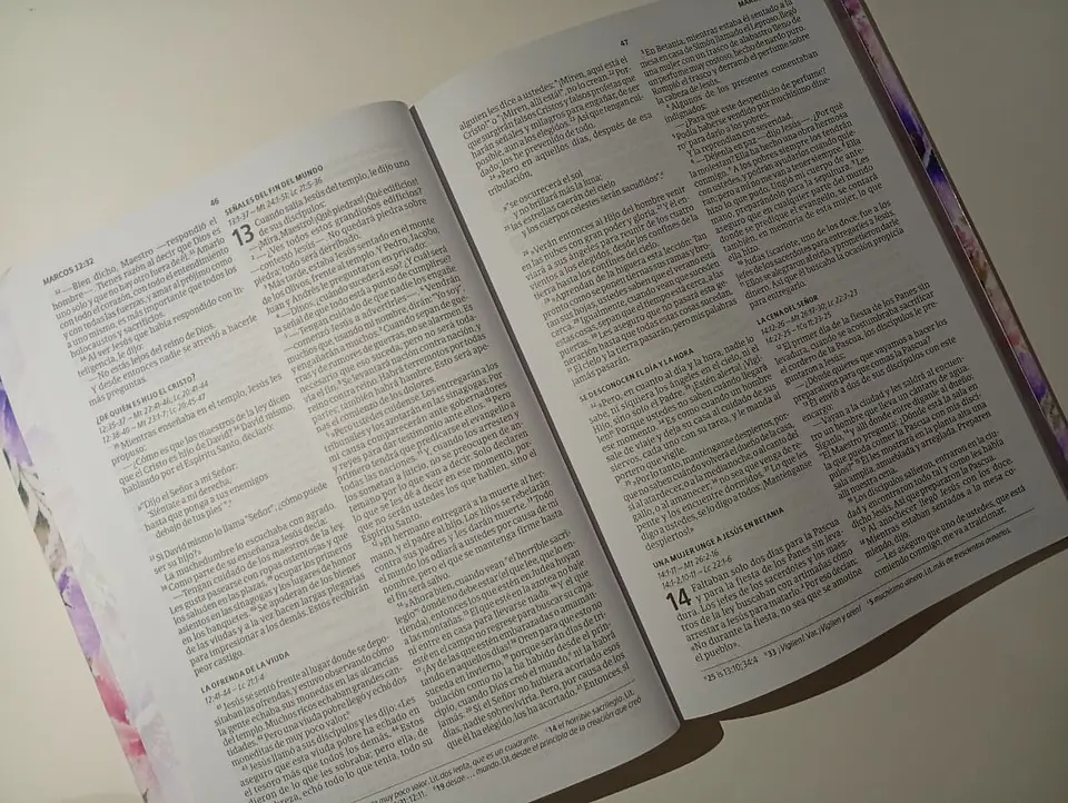 Nuevo Testamento NVI Personalizado 4