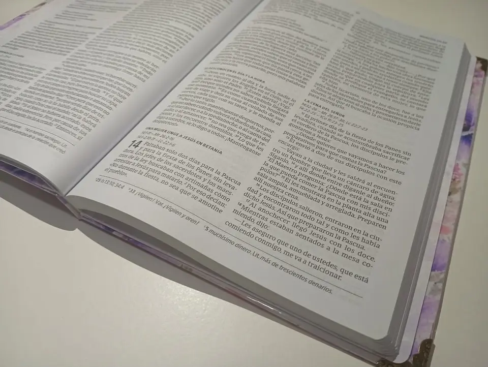 Nuevo Testamento NVI Personalizado 5