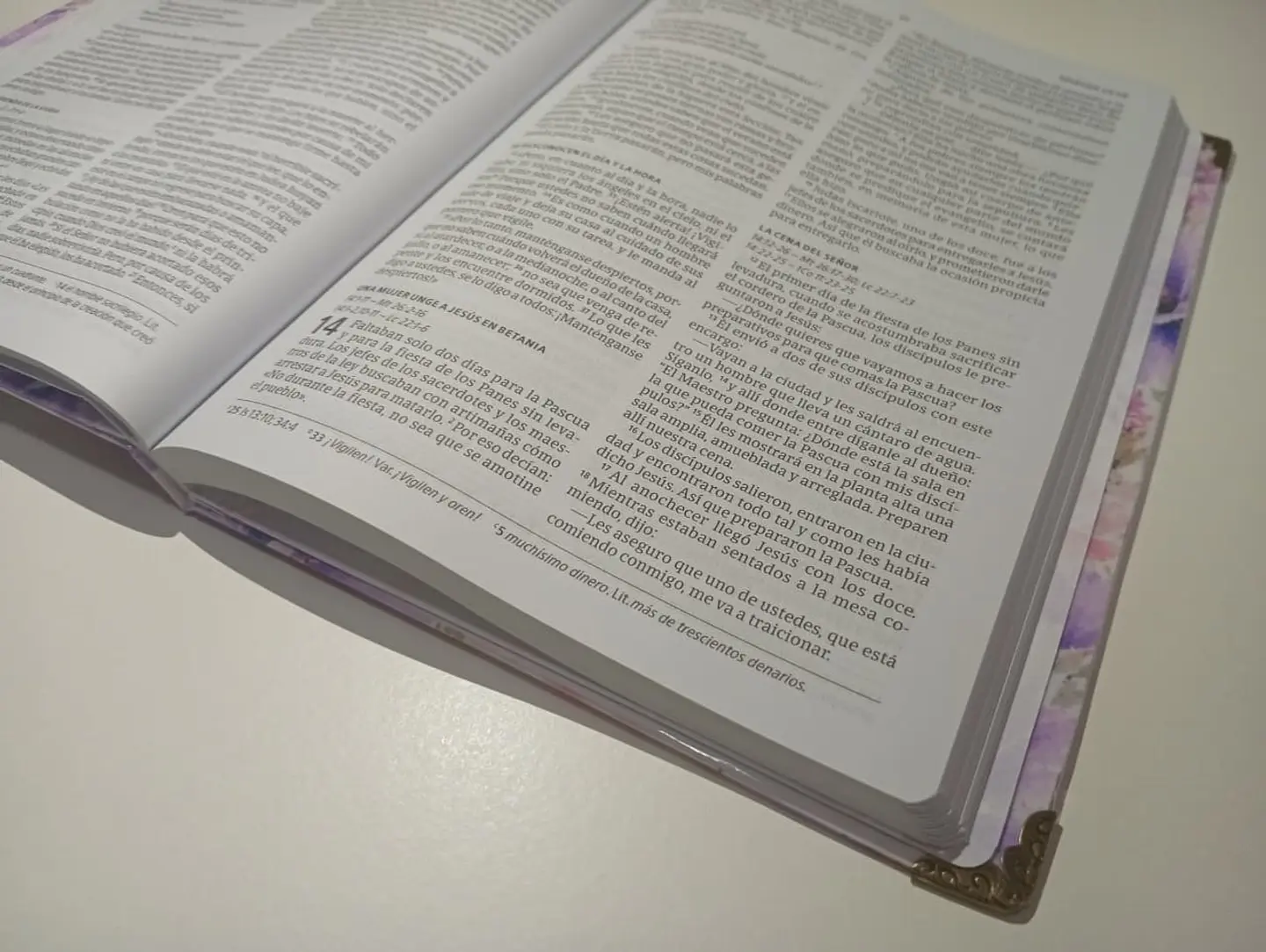 Nuevo Testamento NVI Personalizado 6