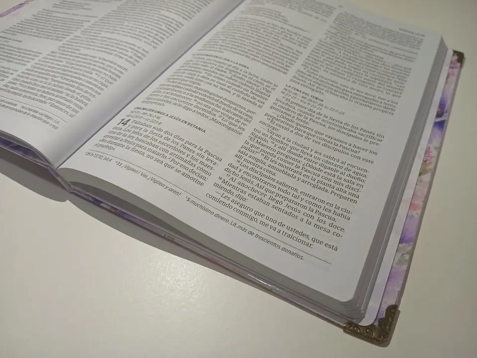 Nuevo Testamento NVI Personalizado 6