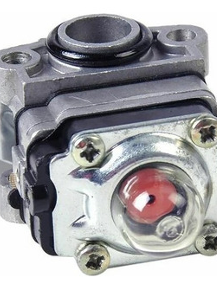 Carburador Honda Gx22 Gx31 Fg100 139 139f 4