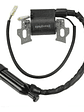 Bobina Honda Gx110 Gx120 Gx140 Gx160 Gx200 5.5hp 6.5hp - Miniatura 2