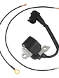 Bobina Encendido Para Sthil Ms380 Ms381 038 - Miniatura 1