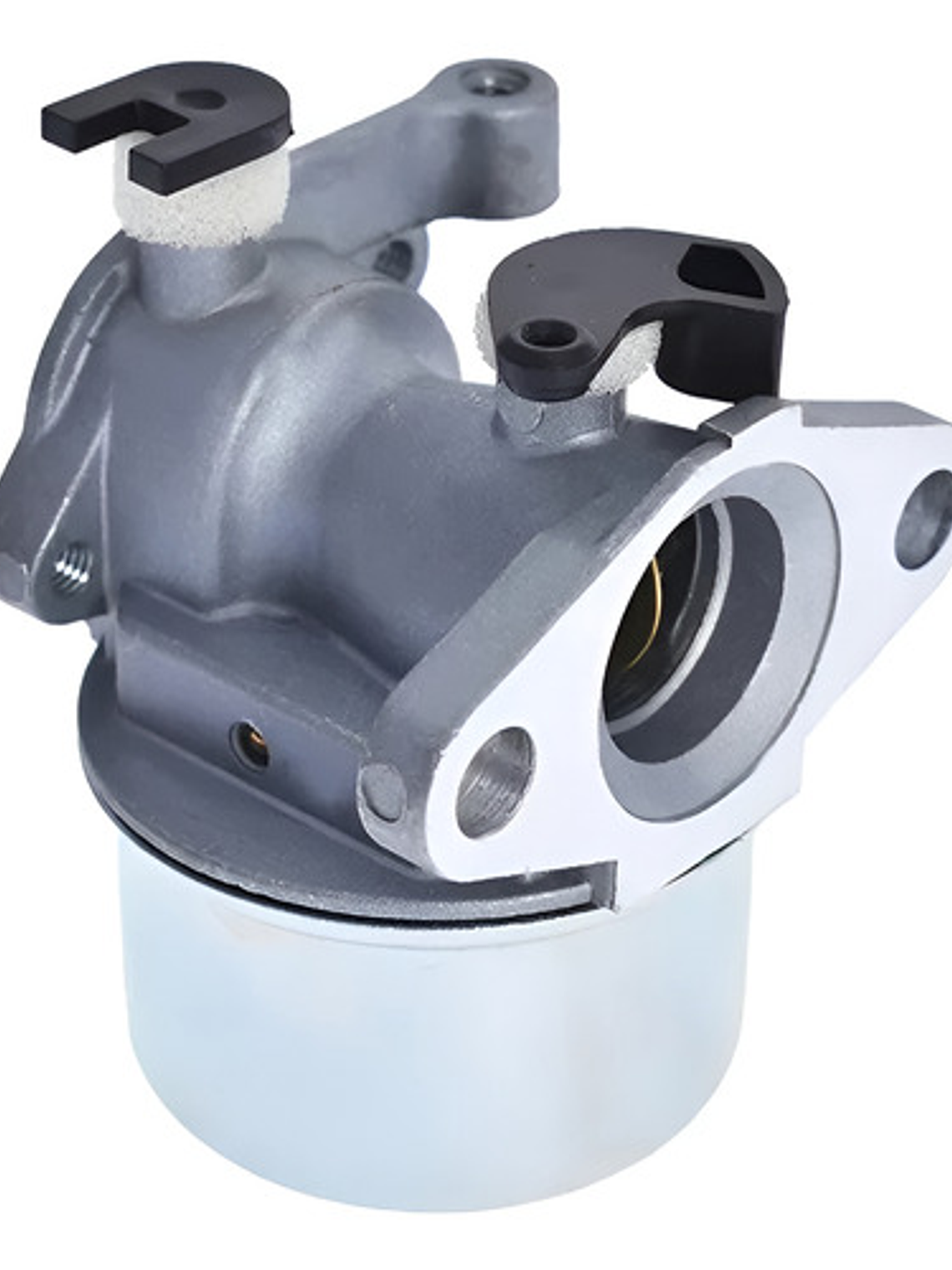 Carburador Briggs Stratton 799866 790845 799871 796707 79430 1