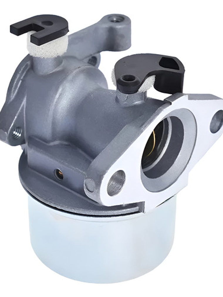 Carburador Briggs Stratton 799866 790845 799871 796707 79430 1