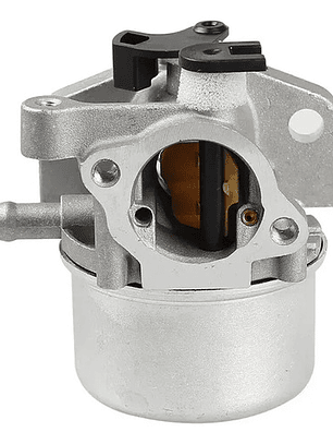 Carburador Briggs Stratton 799866 790845 799871 796707 79430