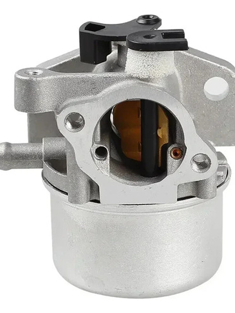 Carburador Briggs Stratton 799866 790845 799871 796707 79430 2