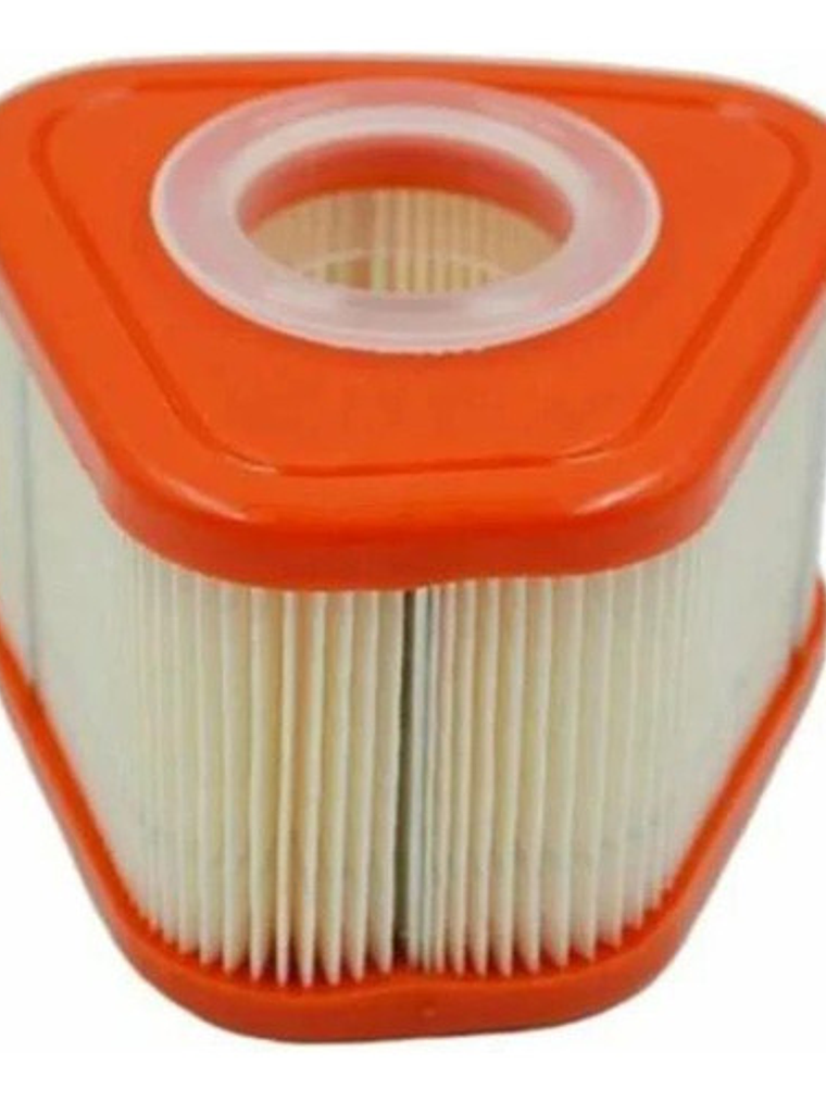 Filtro De Aire Briggs Stratton 595853 597265 115p02 115p05 1 1
