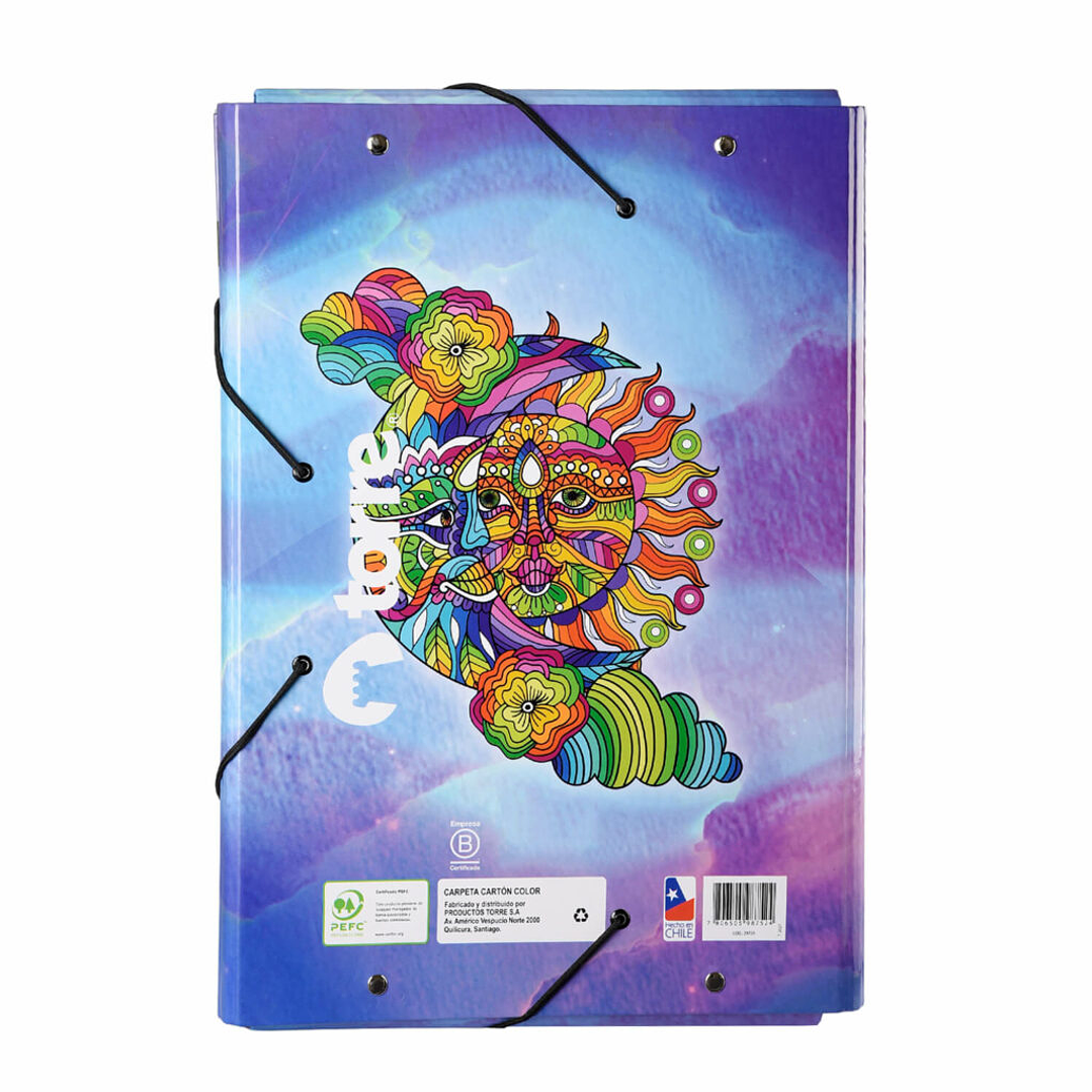 Carpeta Carton Color Diseños 2