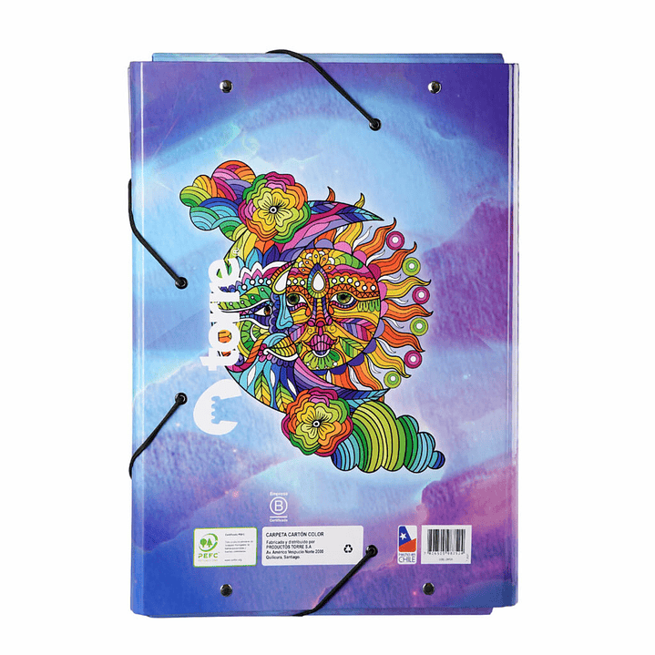 Carpeta Carton Color Diseños 2