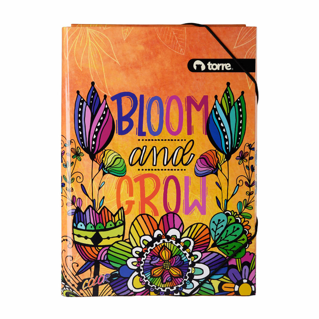 Carpeta Carton Color Diseños 3