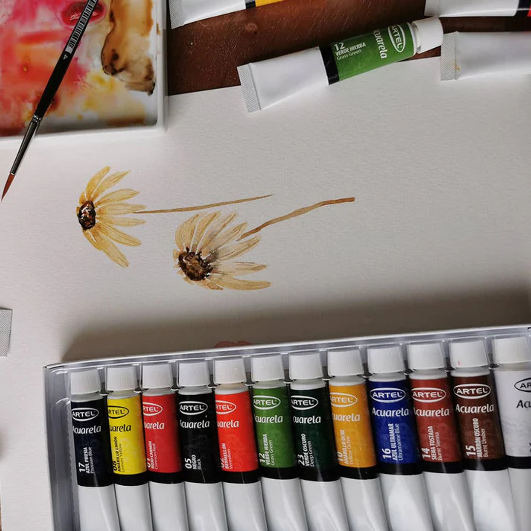 Set de Acuarelas 12 colores de 12ml 3