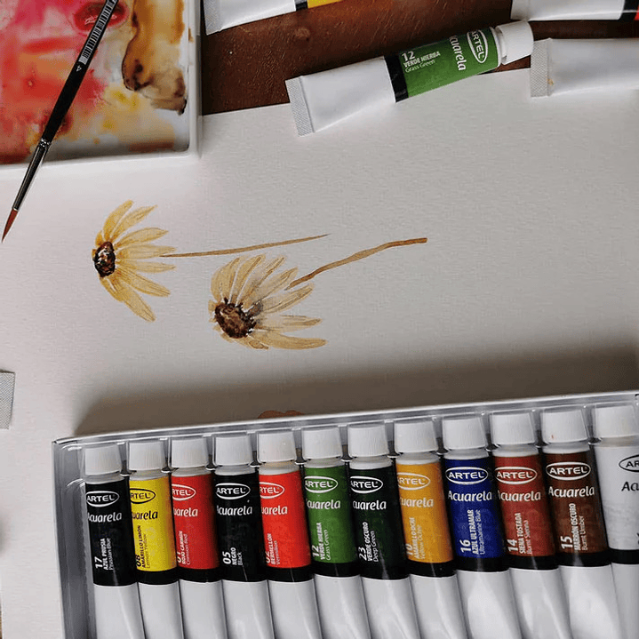 Set de Acuarelas 12 colores de 12ml 3