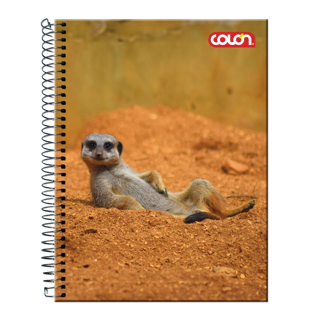 Cuaderno Top Lito 7mm 120hjs. 3