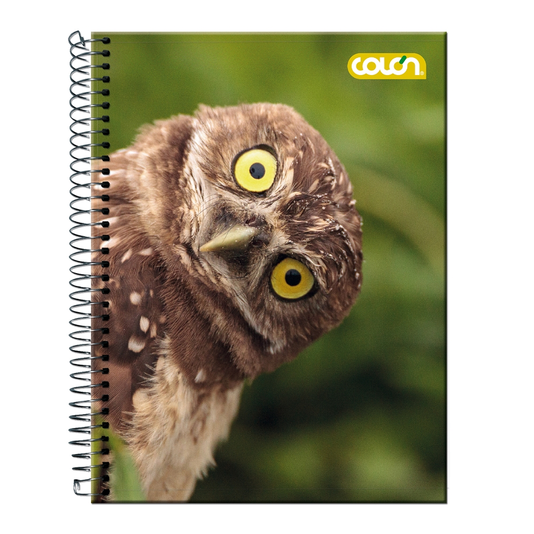 Cuaderno Top Lito 7mm 120hjs. 4