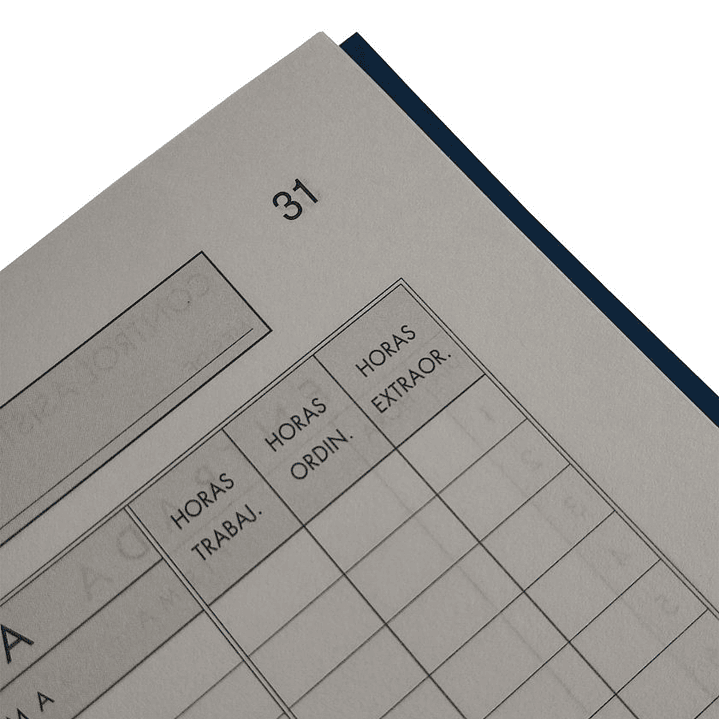 Libro de Asistencia 100 Hojas 2