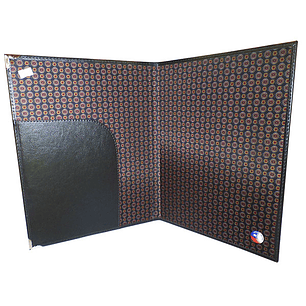 CARPETA SOLAPA ( CONSULTAR COLOR DISPONIBLE )