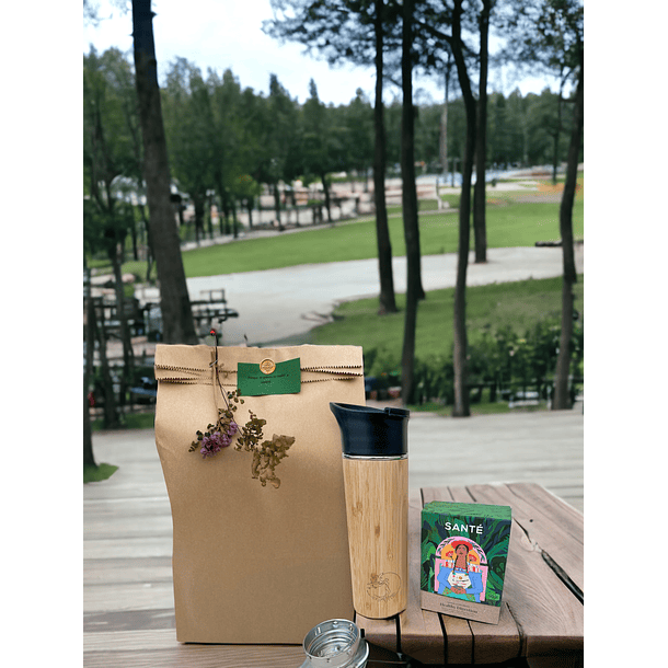 Infuser bottle + 1 bulk box 3