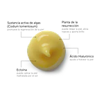 FRESH after sun & tan booster (125 ml) 2