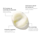FRESH cream medium (50 ml) 2