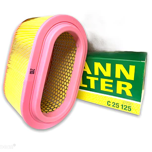 MANN C 25125