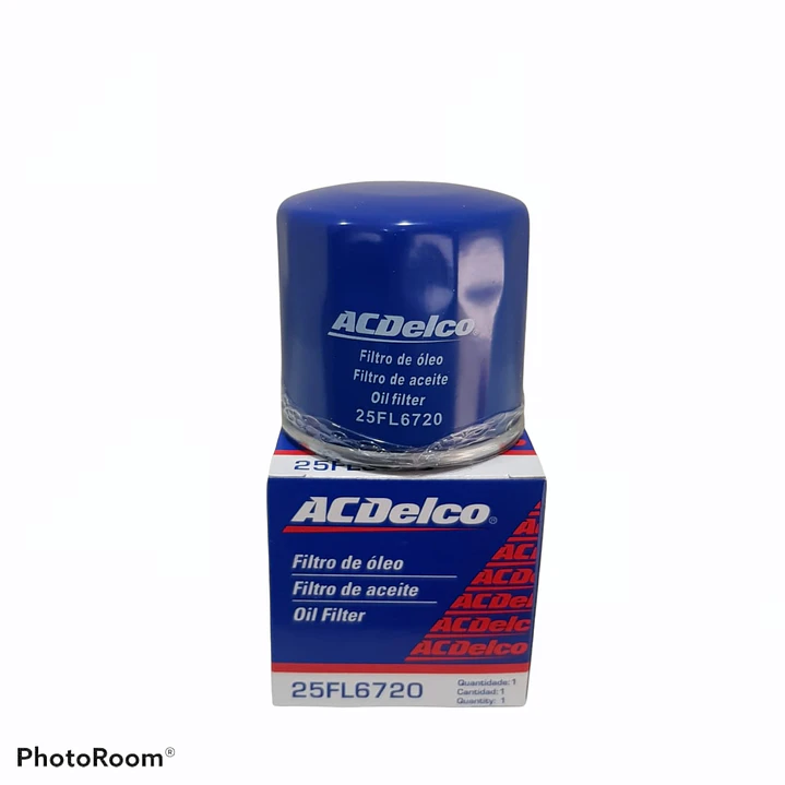 ACDELCO 25FL6720 (W67/81) 1