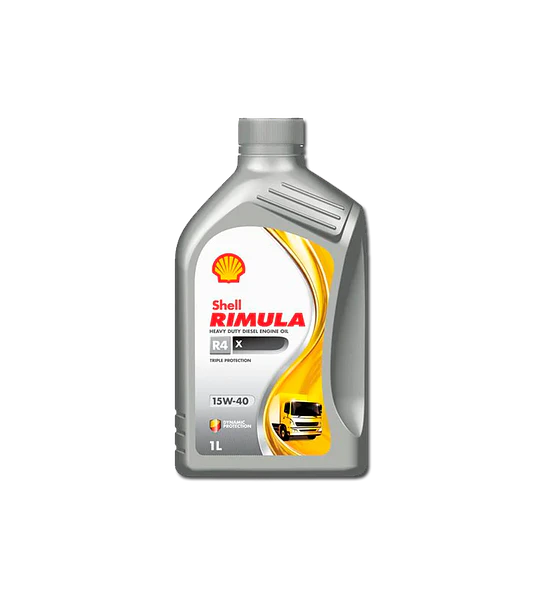 Shell Rimula