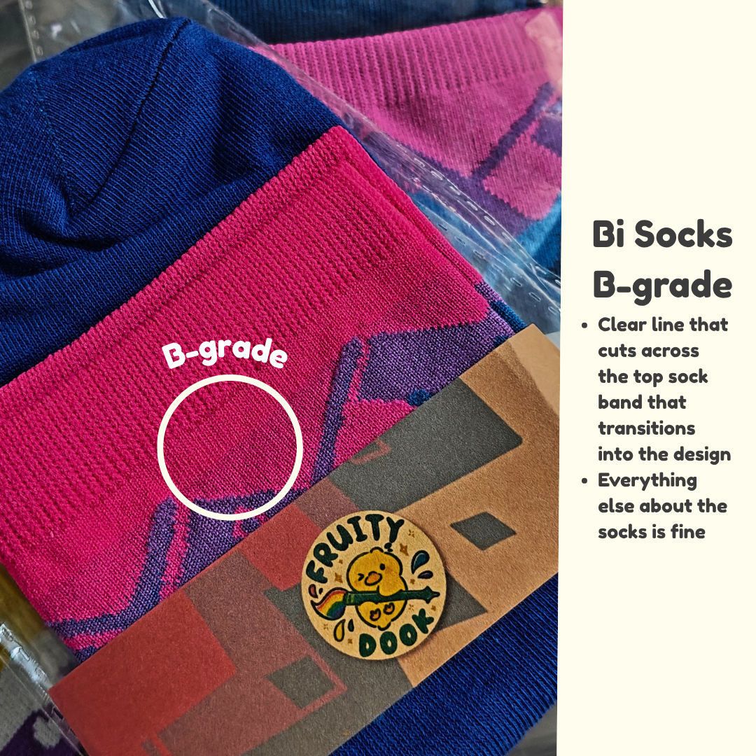 [B-grades] Pride Socks 2