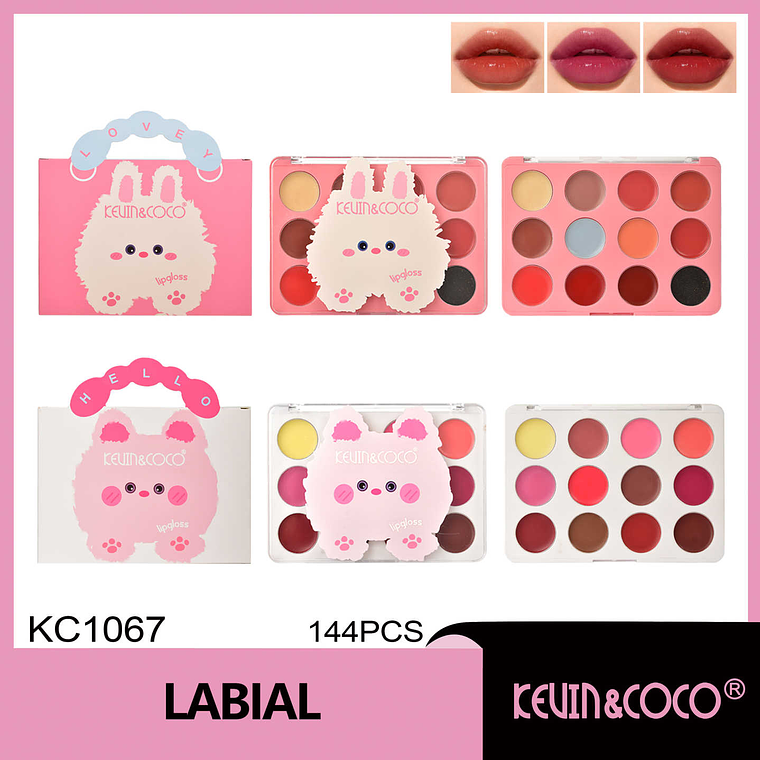 Paleta de 12 labiales cremosos  1