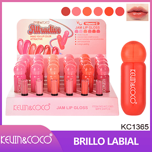 Brillos Labiales 6 Tonos 
