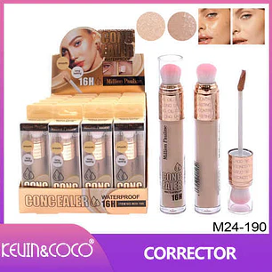 CORRECTOR MATTE+ BROCHA