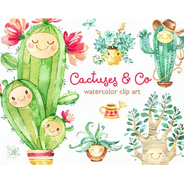 Imágenes Cactus Acuarela Png 300 dpi Clipart Fondo Transparente